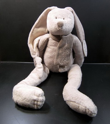 Hase Aline